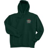 Wash U Super Heavyweight Fleece Hoodie